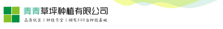Bsports(官方)手机APP下载